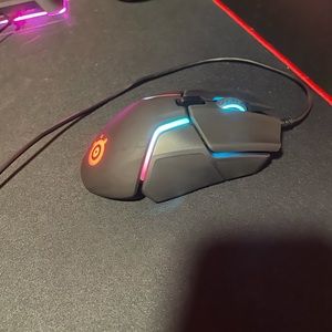 A steel series mouse rival 600.